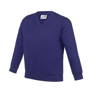 Awdis Childrens/Kids Academy V Neck Sweatshirt / Purple